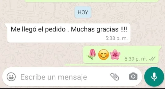 Referencia de clienta satisfecha 2